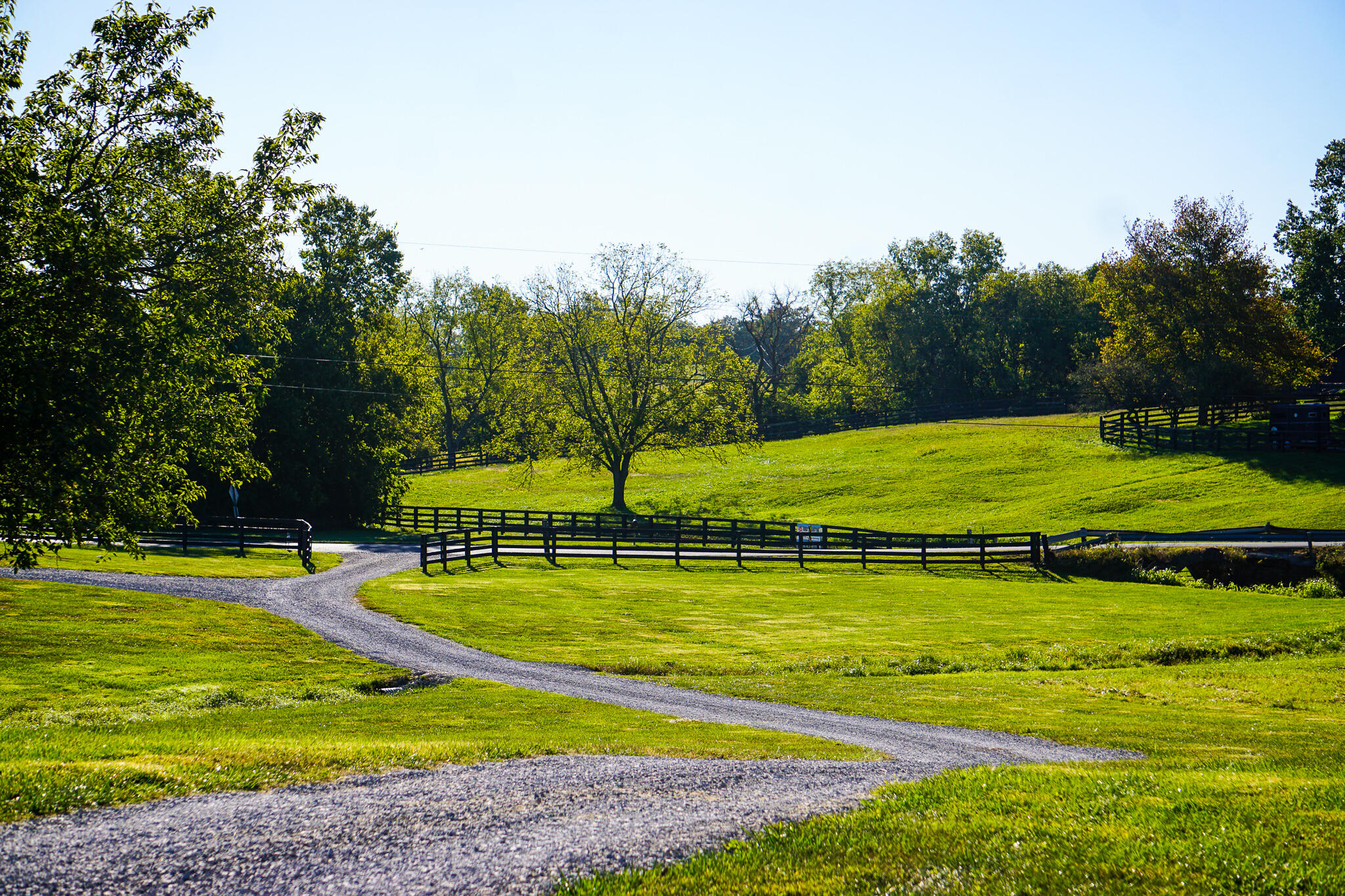 3240 Vince Road Nicholasville, KY 40356 - Photo 4 of 107 DSC09133 (1)