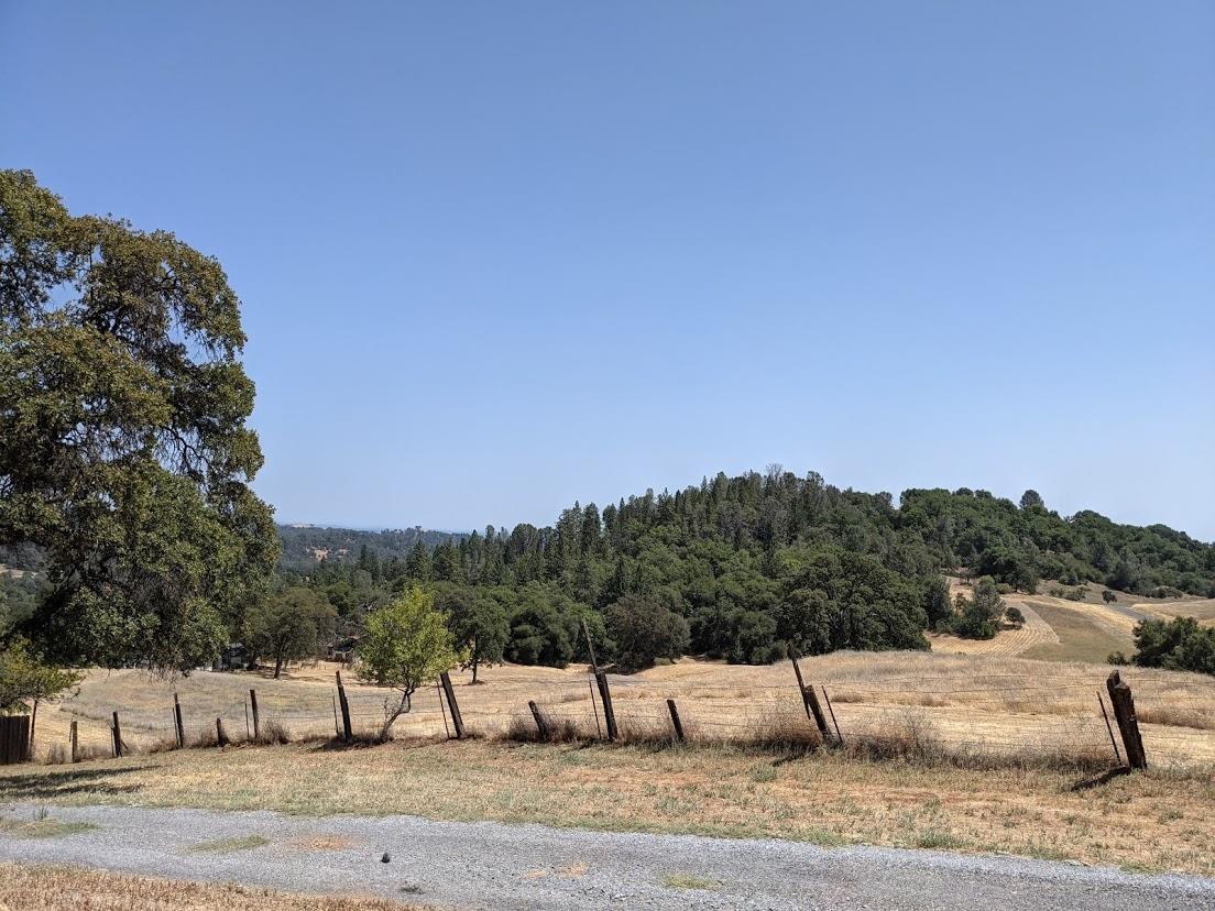 Indian Rock road.  Photo is hilltop (owned by GDPUD) Hummingbird property just to left of Hill top.  Dead trees and many digger pines removed.  This is a before picture.