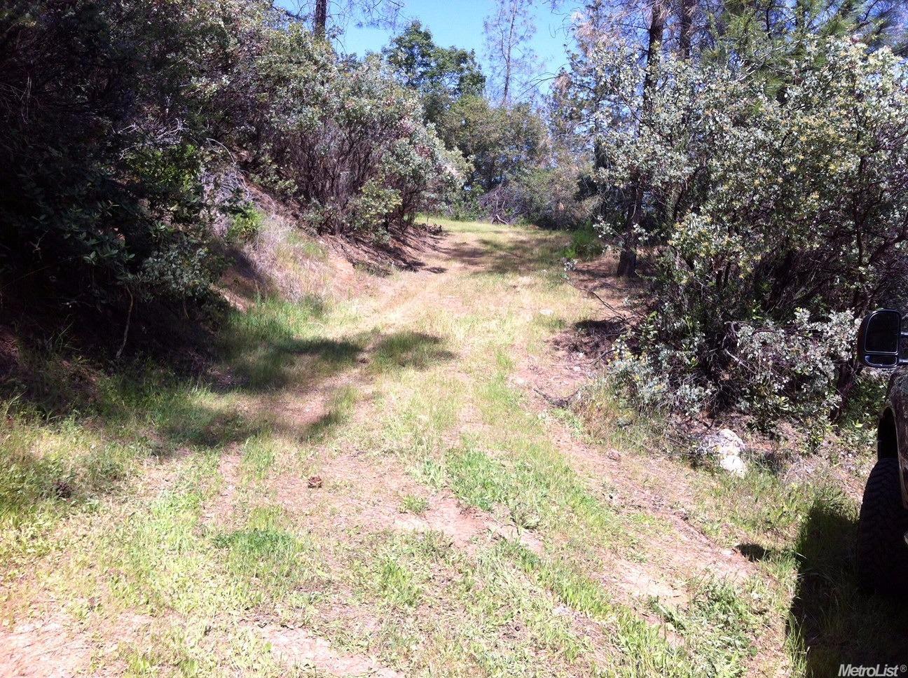 0 Hummingbird Lane Cool, CA 95614 - Photo 4 of 10 a view of a yard with a tree