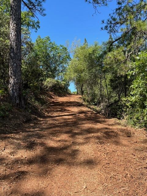 0 Hummingbird Lane Cool, CA 95614 - Photo 5 of 10