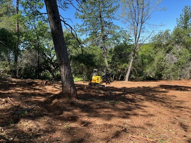 0 Hummingbird Lane Cool, CA 95614 - Photo 7 of 10 a view of road and trees