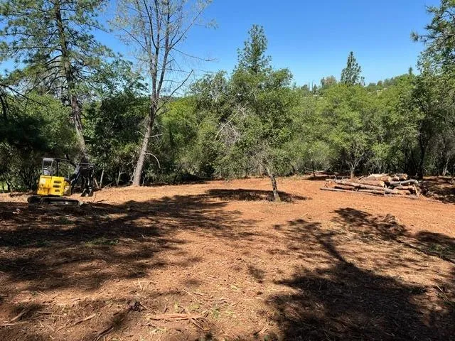 a view of empty space with large trees