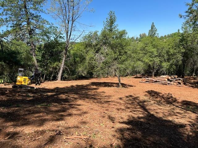 0 Hummingbird Lane Cool, CA 95614 - Photo 8 of 10