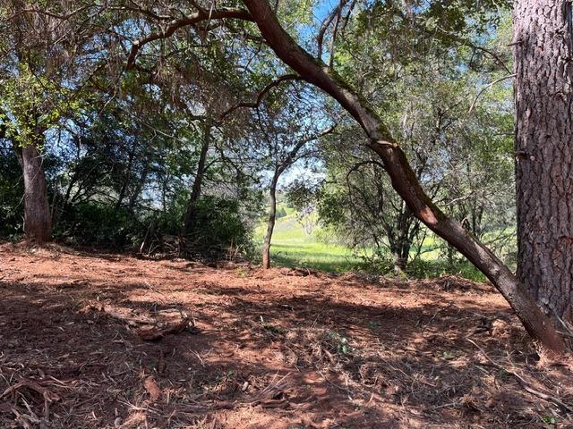 0 Hummingbird Lane Cool, CA 95614 - Photo 9 of 10 a view of a road with a trees