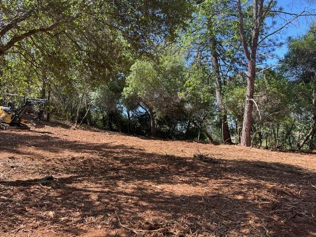 0 Hummingbird Lane Cool, CA 95614 - Photo 10 of 10 a view of empty space with large trees