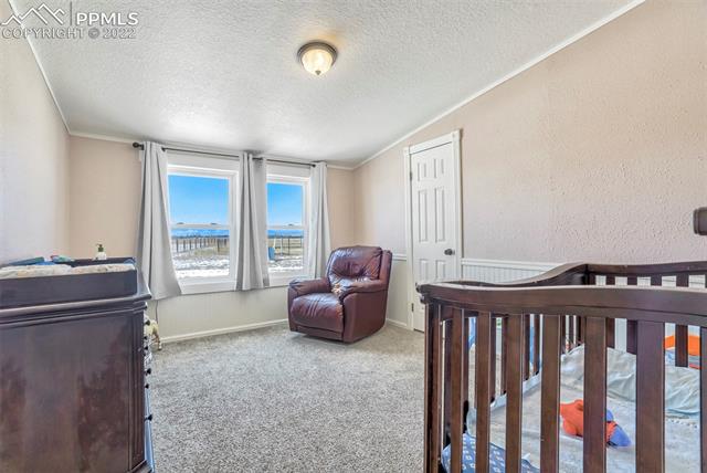 22990 Jones Road Calhan, CO 80808 - Photo 26 of 50