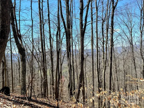 $28,500 | Lot 15 Red Wolf Run, Unit 15, Mars Hill, NC 28754