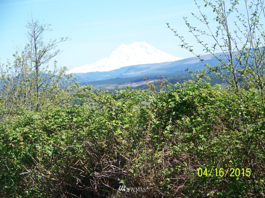 -xx Wigley Road Centralia, WA 98531 - Photo 14 of 17 Gallery Image 14