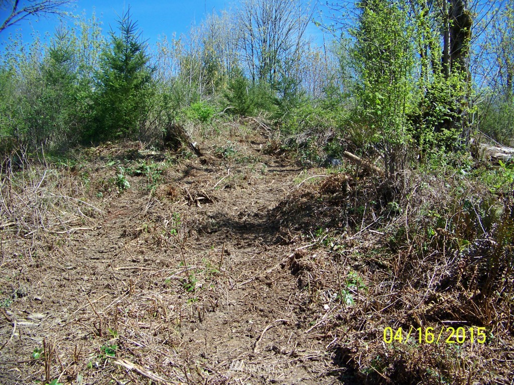 -xx Wigley Road Centralia, WA 98531 - Photo 3 of 17 Gallery Image 3