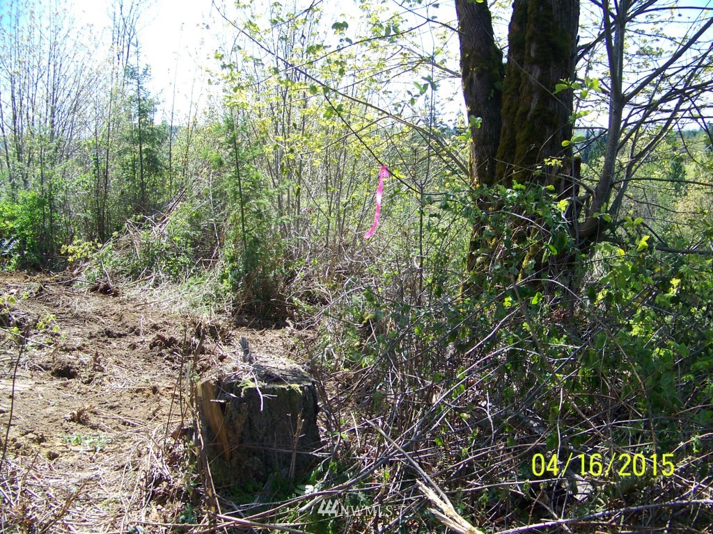 -xx Wigley Road Centralia, WA 98531 - Photo 4 of 17 Gallery Image 4