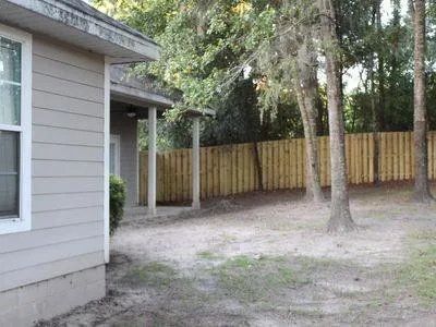 a view of a trees in the forest
