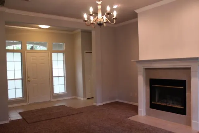 a view of backyard from window