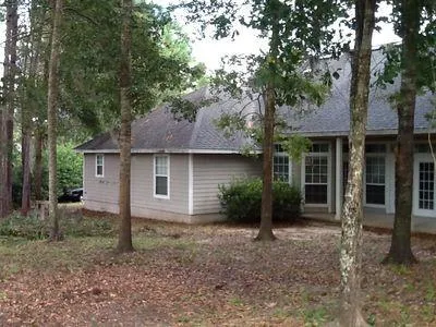 a view of a backyard with plants and large trees
