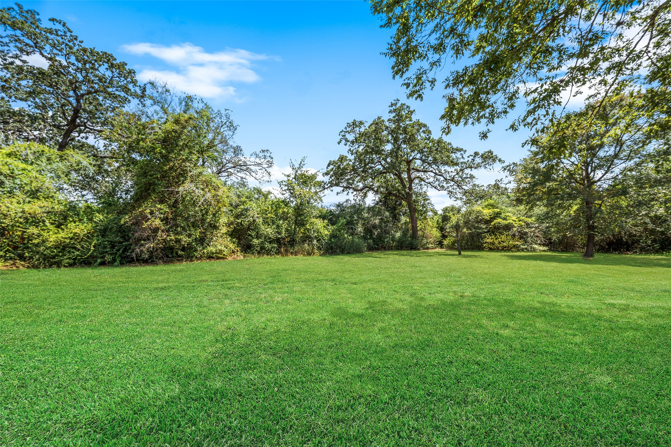 25948 Nelson Road Hempstead, TX 77445 - Photo 4 of 46 Expansive lawn surrounded by mature trees, providing a spacious and private outdoor setting.