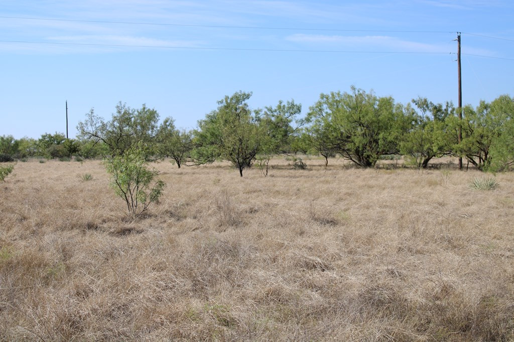 0 County Road Talpa, TX 76882 - Photo 4 of 22 Photo 4