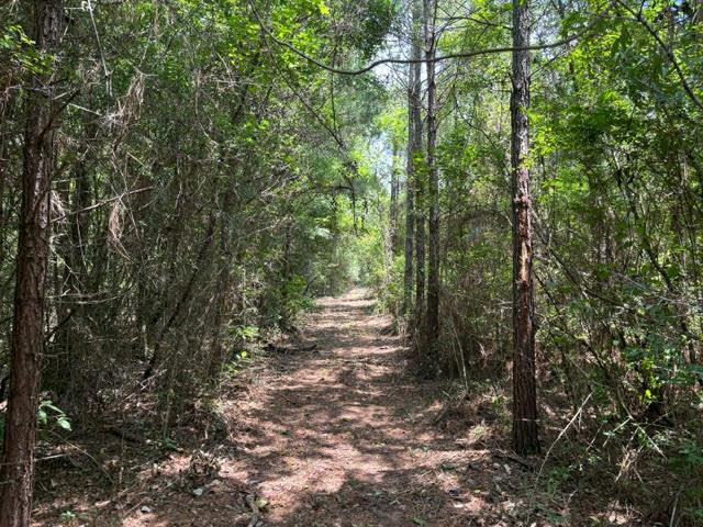 0 East Lewiston Road Kentwood, LA 70444 - Photo 25 of 26 Photo 26