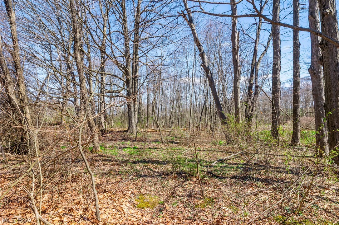 9050 Freeman Road Lisbon, OH 44432 - Photo 43 of 50