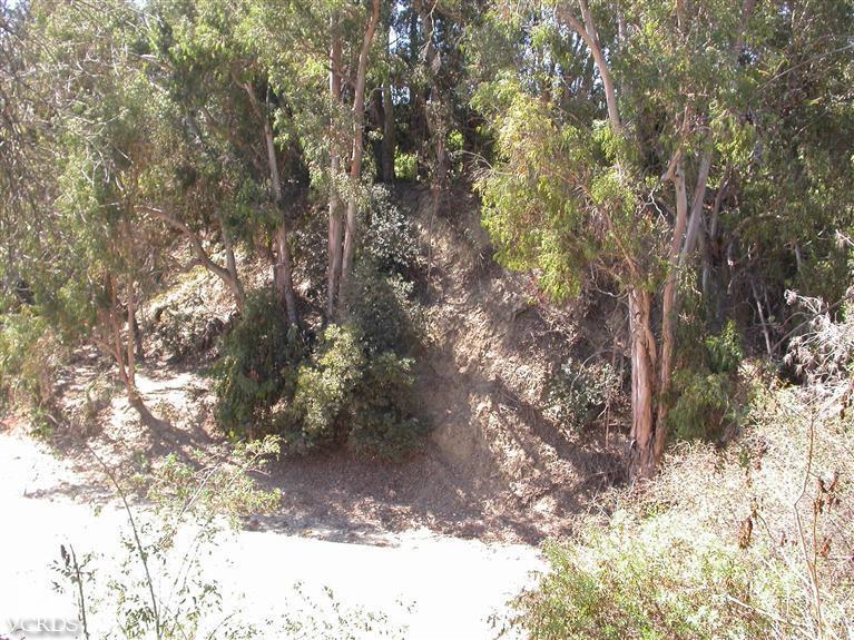 7248 Arthur Rondo Ventura, CA 93003 - Photo 28 of 28 a view of a tree in a yard