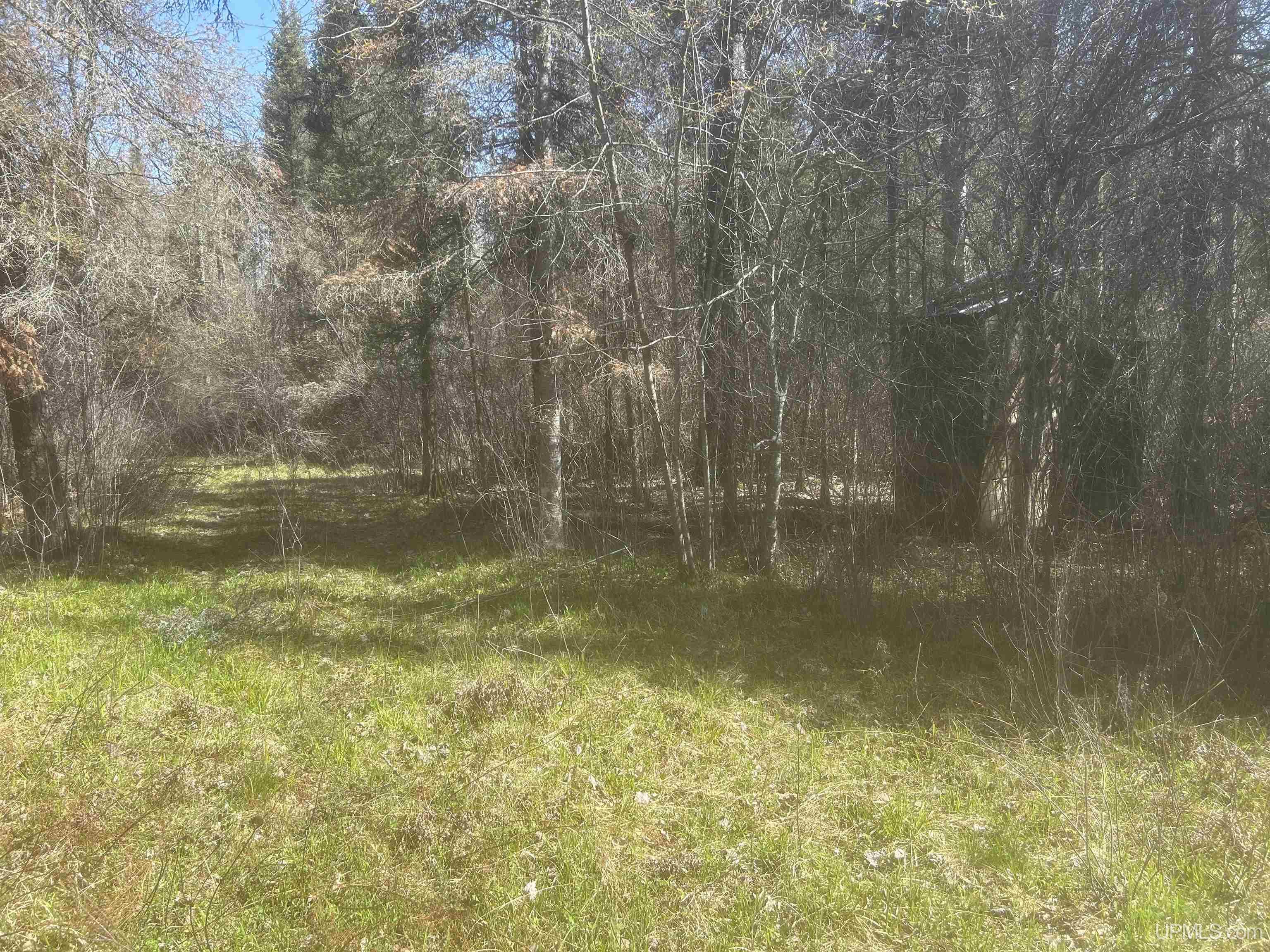 Tbd Goodhall Road Gaastra, MI 49927 - Photo 11 of 17