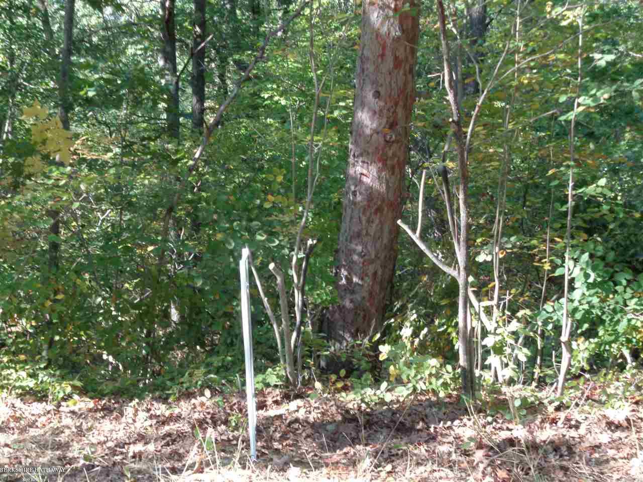 Lot 39 Weaver Rd Port Port Austin, MI 48467 - Photo 1 of 5