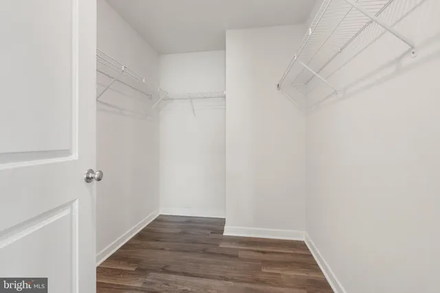 a view of an empty room with a floor to ceiling window and an outdoor view