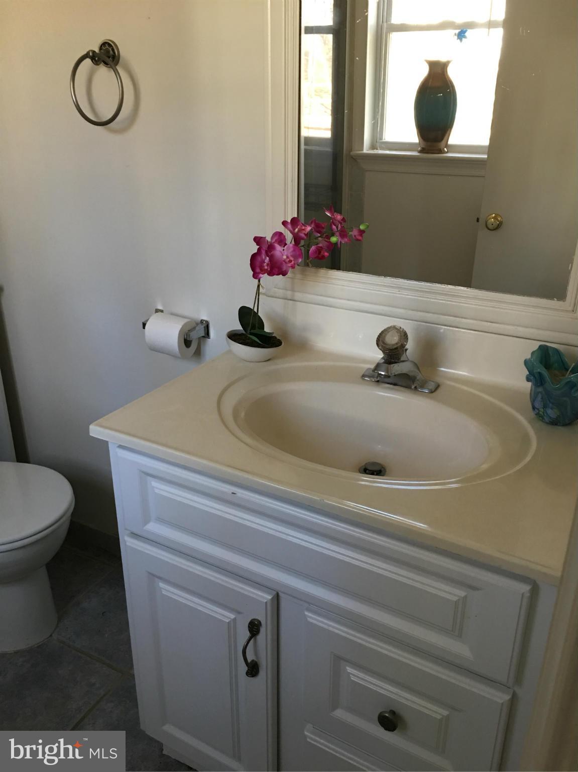 6601 Huntsman Boulevard Springfield, VA 22152 - Photo 14 of 30 Bath (Master)