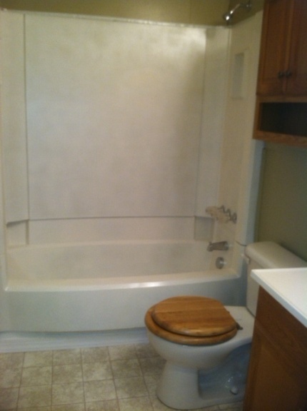 5538 Providence Church Road Ferrum, VA 24088 - Photo 11 of 11 Bath