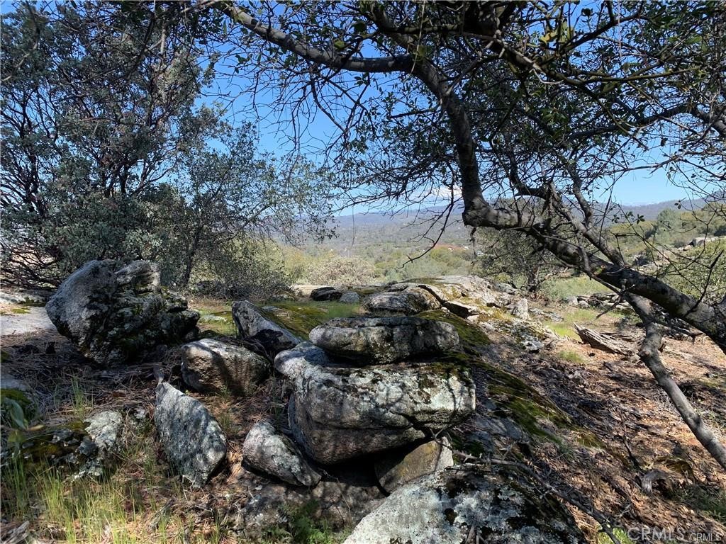 123 Quartz Mountain Road Coarsegold, CA 93614 - Photo 5 of 7 a view of a lot of trees and covered with fog