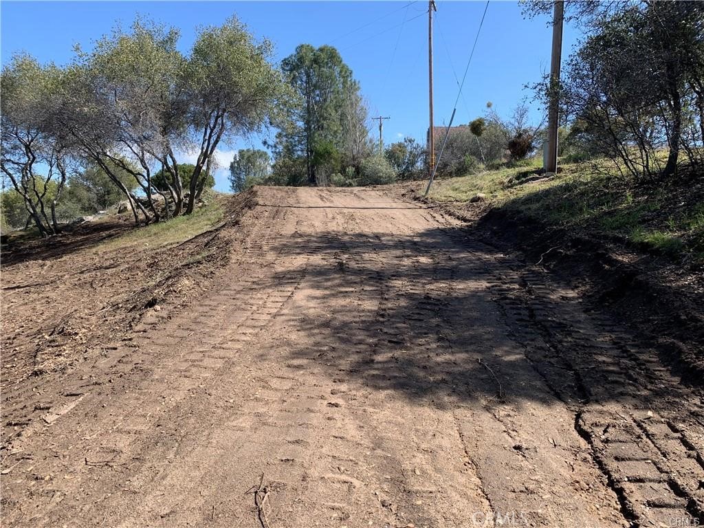 123 Quartz Mountain Road Coarsegold, CA 93614 - Photo 7 of 7 a view of a yard with trees