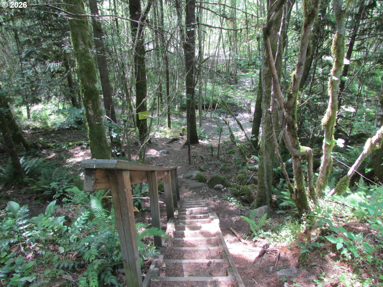 64930 East Mountain Meadow Lane Rhododendron, OR 97049 - Photo 43 of 46