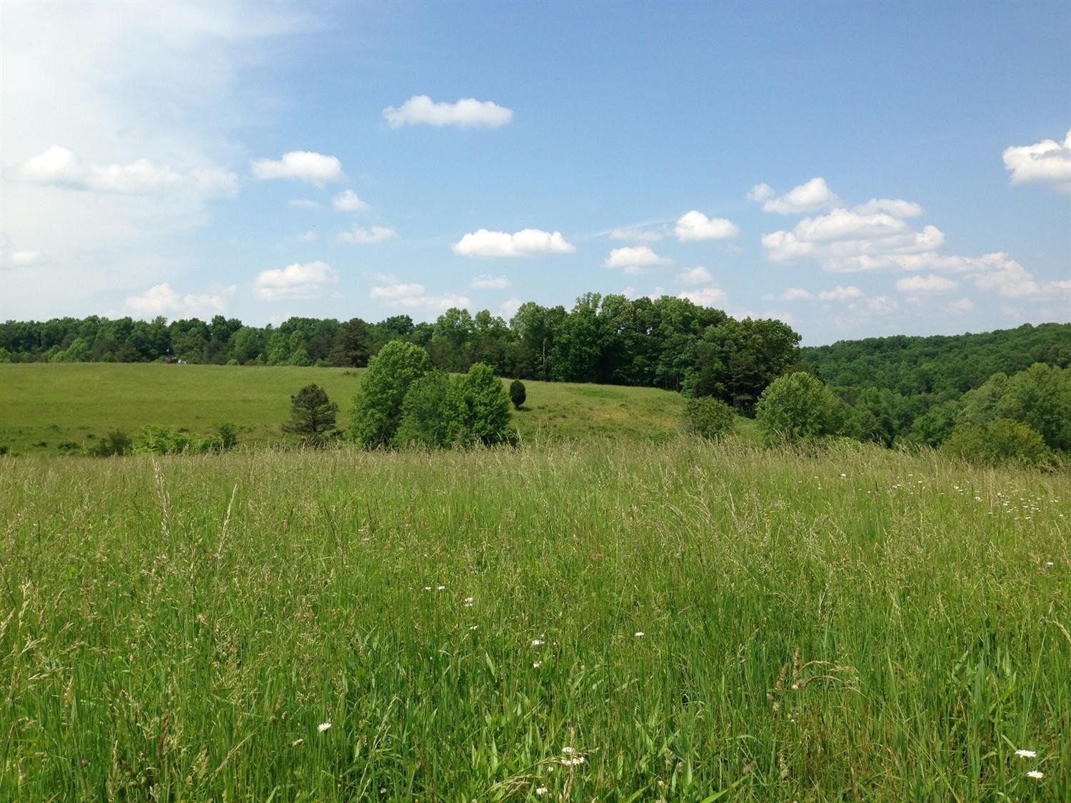 9999 South Hollin Road Tyner, KY 40486 - Photo 2 of 10 Photo 2