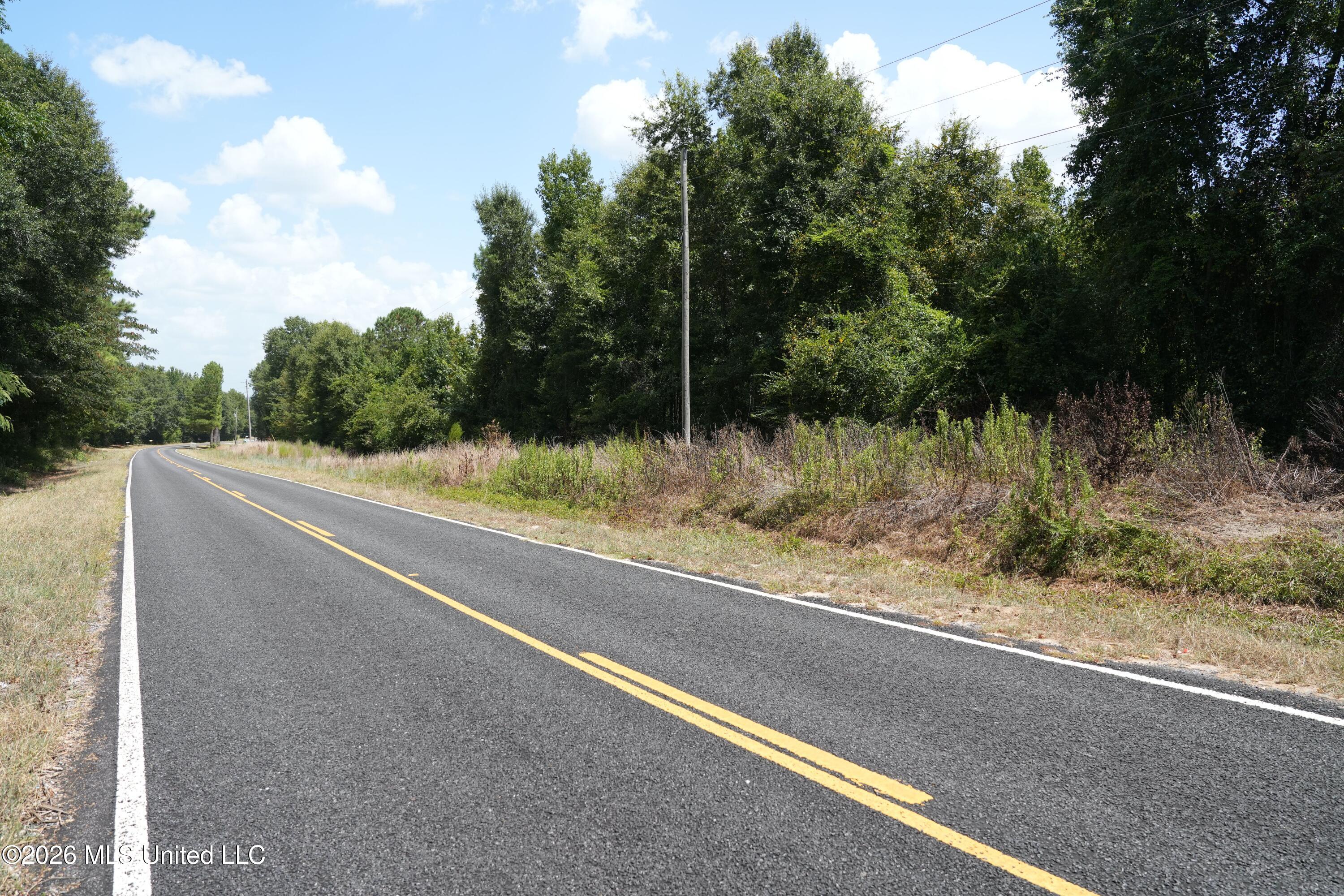 Joe Booth Road Taylorsville, MS 39168 - Photo 8 of 34 DSC04372