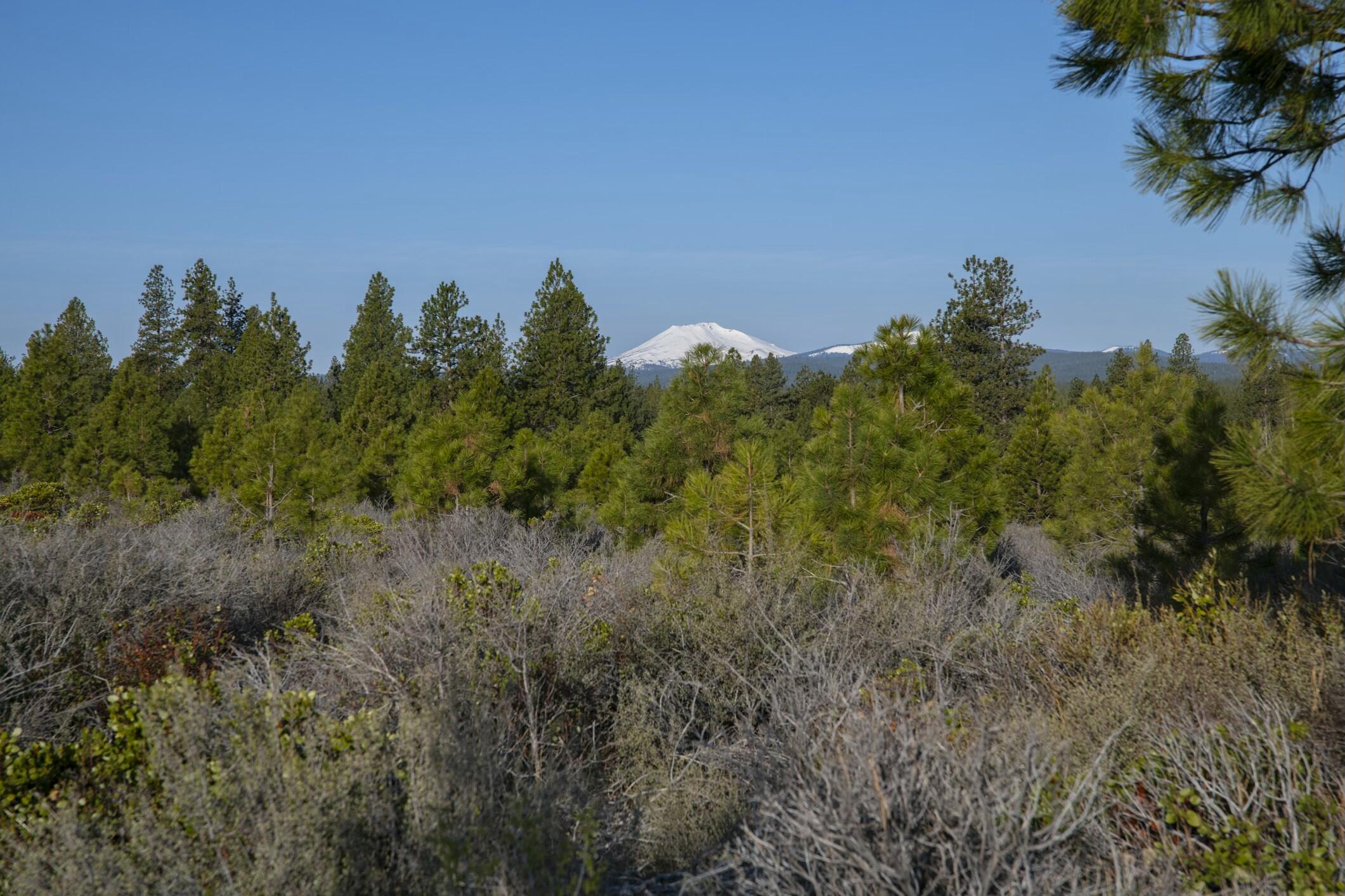 18715 Macalpine Loop, Unit 37 Bend, OR 97702 - Photo 8 of 36 Gallery Image 8