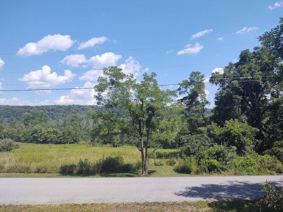 Lot 9 Sugar Run Road Shirleysburg, PA 17260 - Photo 3 of 11 Gallery Image 3