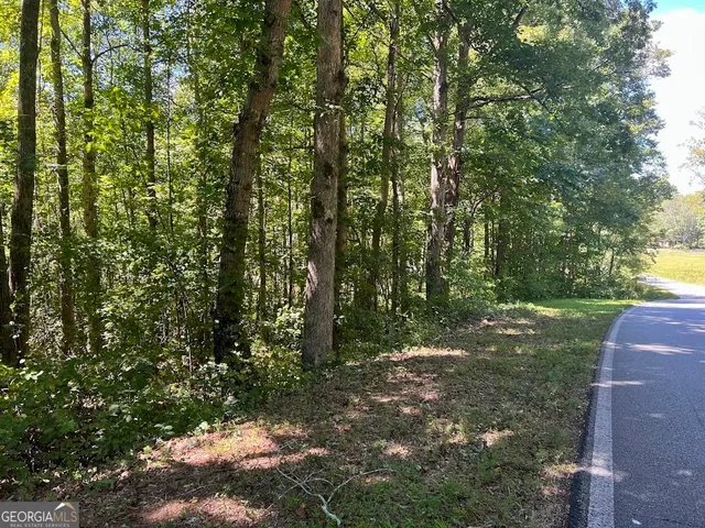 $59,900 | 0 Old Draketown Trail, Temple, GA 30179