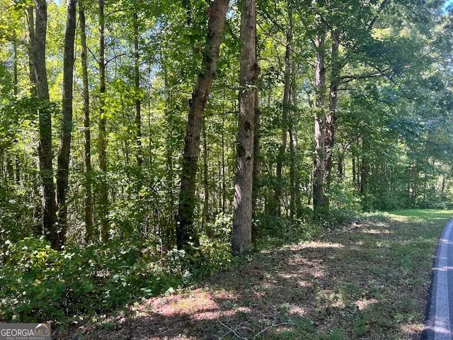 $59,900 | 0 Old Draketown Trail, Temple, GA 30179