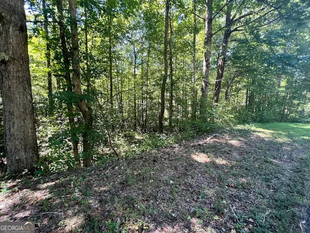 $59,900 | 0 Old Draketown Trail, Temple, GA 30179