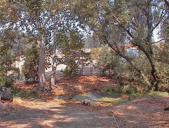 39137 Dunlap Road Dunlap, CA 93621 - Photo 27 of 54 Gallery Image 27