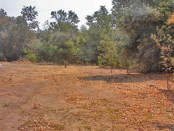 39137 Dunlap Road Dunlap, CA 93621 - Photo 30 of 54 Gallery Image 30