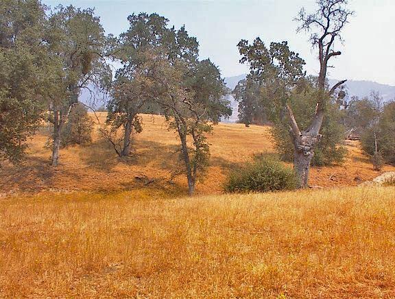 39137 Dunlap Road Dunlap, CA 93621 - Photo 39 of 54 Gallery Image 39