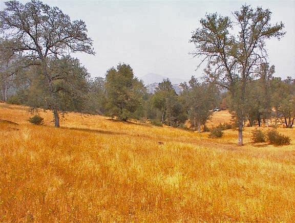 39137 Dunlap Road Dunlap, CA 93621 - Photo 40 of 54 Gallery Image 40