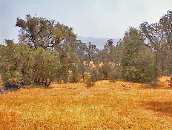 39137 Dunlap Road Dunlap, CA 93621 - Photo 43 of 54 Gallery Image 43