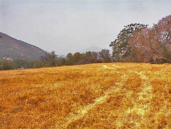 39137 Dunlap Road Dunlap, CA 93621 - Photo 44 of 54 Gallery Image 44