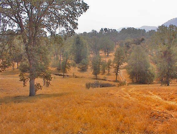 39137 Dunlap Road Dunlap, CA 93621 - Photo 46 of 54 Gallery Image 46