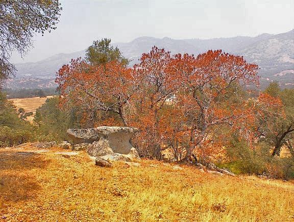 39137 Dunlap Road Dunlap, CA 93621 - Photo 49 of 54 Gallery Image 49