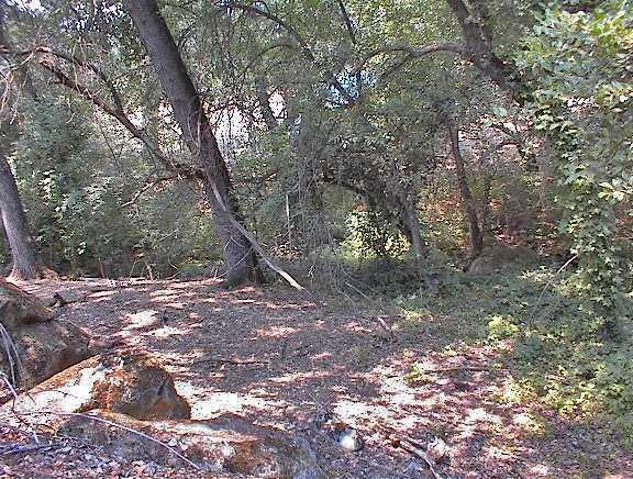 39137 Dunlap Road Dunlap, CA 93621 - Photo 53 of 54 Gallery Image 53