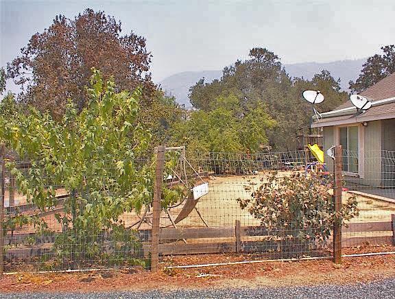 39137 Dunlap Road Dunlap, CA 93621 - Photo 7 of 54 Gallery Image 7