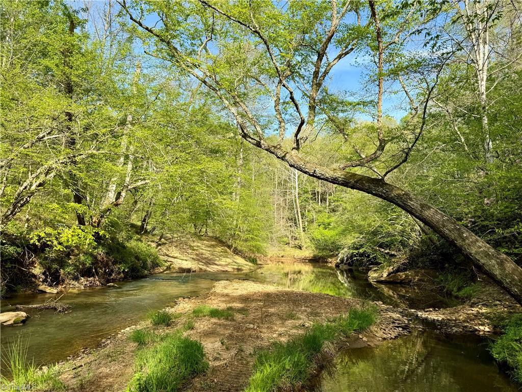 0 Otis Woods Road Sandy Ridge, NC 27046 - Photo 11 of 47