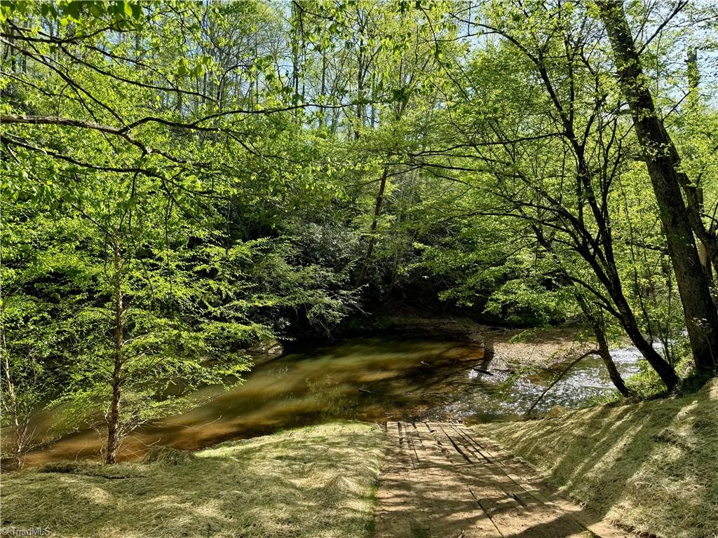 0 Otis Woods Road Sandy Ridge, NC 27046 - Photo 12 of 47