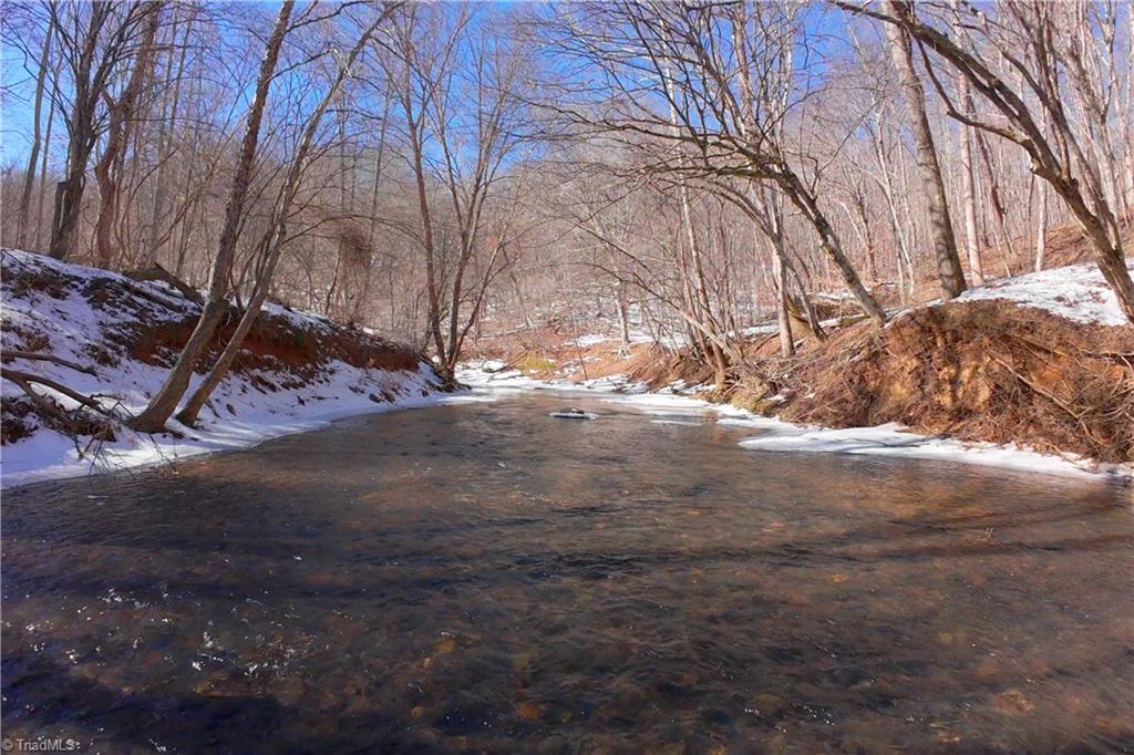 0 Otis Woods Road Sandy Ridge, NC 27046 - Photo 13 of 47